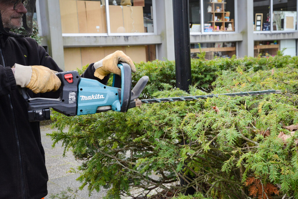 Entretiens espaces verts taille haies